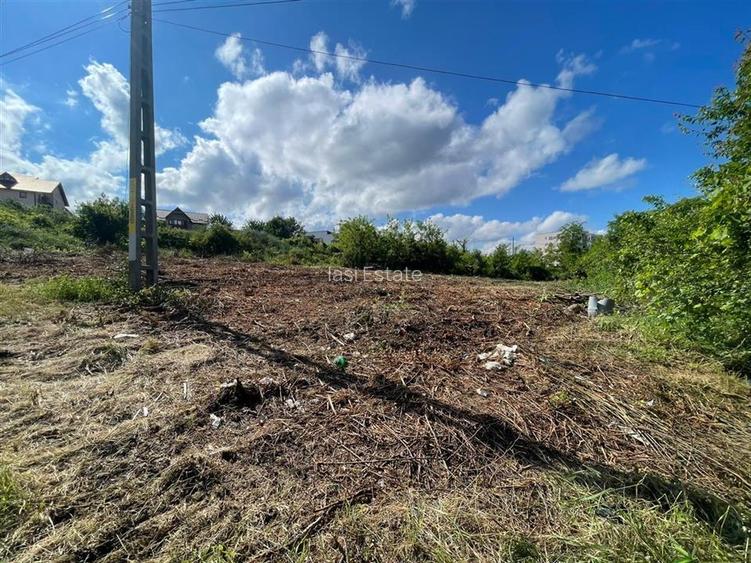 Ocazie! Visani str Castelul Grecilor TEREN 707mp intravilan toate utilitatile - 6