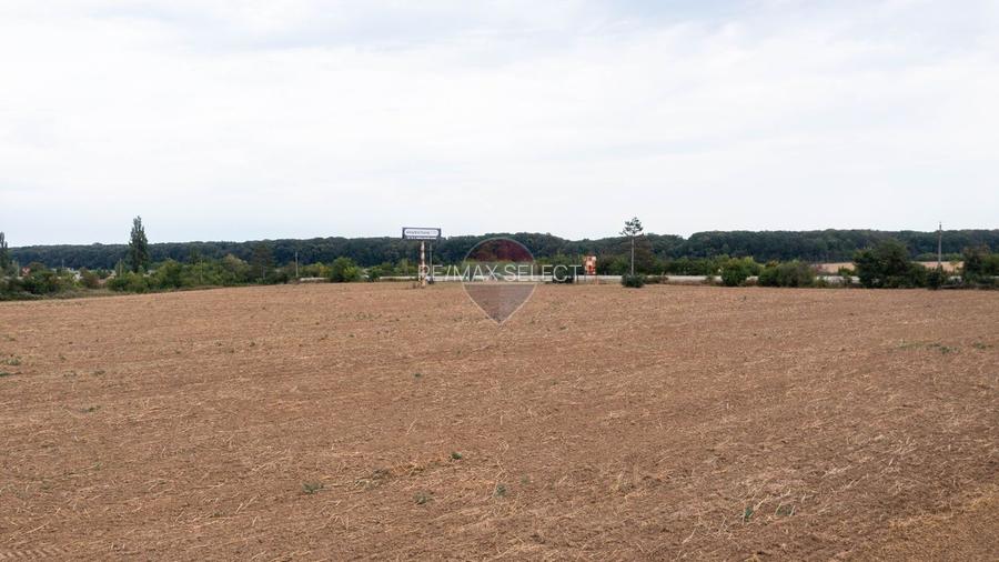 Teren intravilan  10.000mp Ciolpani, acces direct din DN1 - 12