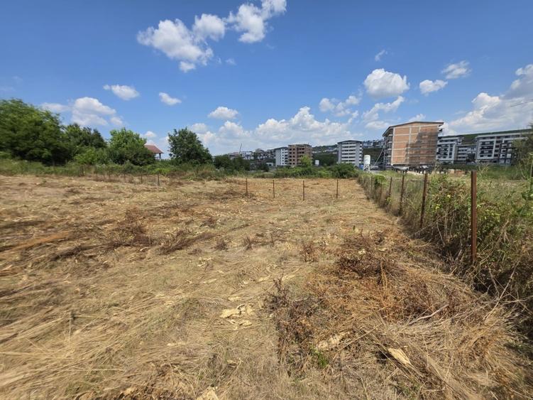Teren intravilan de vânzare – sat. Vișan, Com. Bârnova, Iași | 1.600 mp |