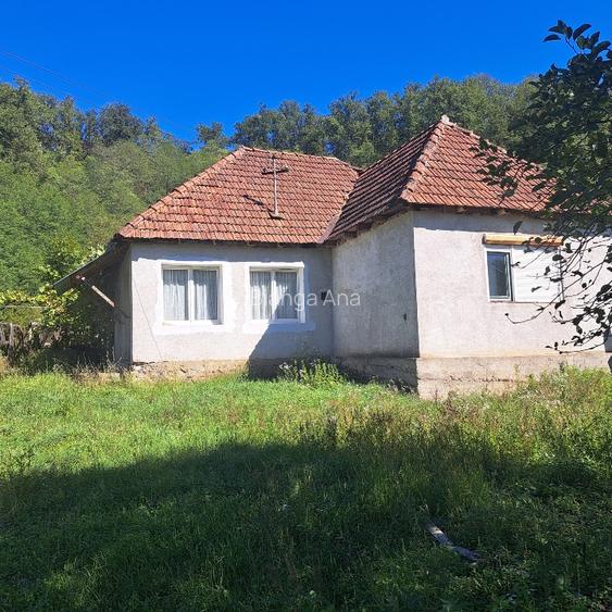 🏡 Casă de vânzare – Petriș, județul Arad / aproape de Deva - 4