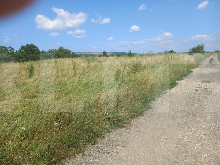 Investitie ! Teren intravilan in Sopor, 2500 mp , front 36 m !