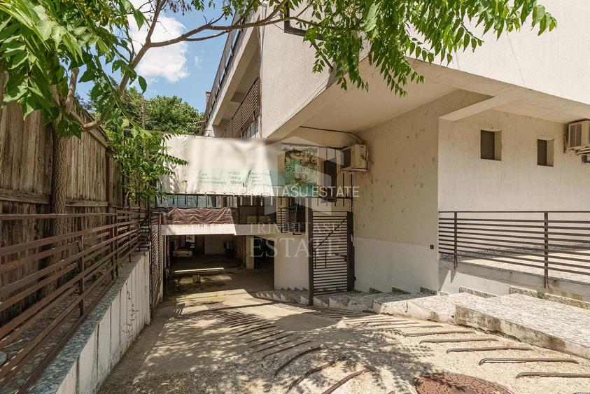 Spatiu comercial  424 mp  Oportunitati multiple - Baneasa Jandarmeriei - 10