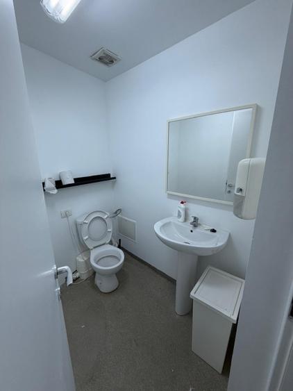 Spatiu 224 mp amenajat tip office, acces separat, Popa Tatu40 A-Cismigiu