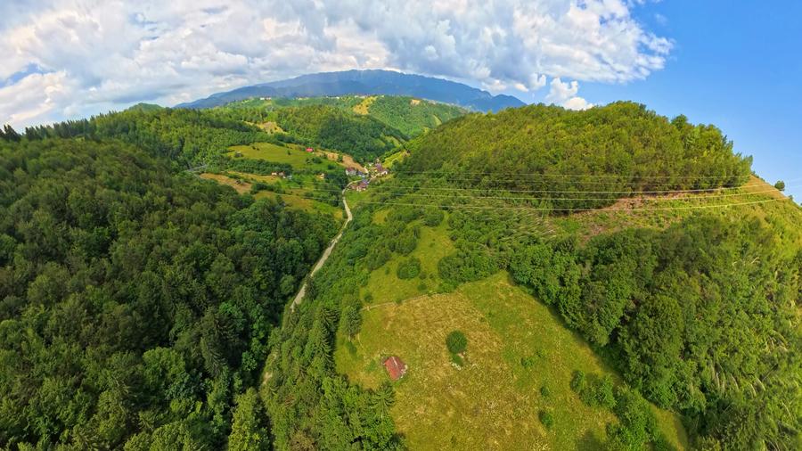 Investitie Smart in Moieciu, 3.1 ha, Panoramă 360 Bucegi - Piatra Craiului