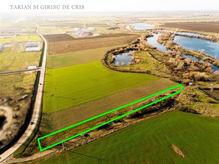 RECO Teren extravilan 2500mp in Palota