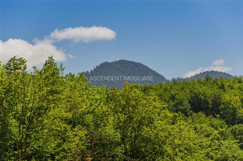 Pensiune cu restaurant, profit asigurat din chirii, terasa spre munte, Brasov - 17