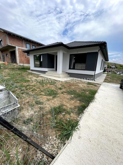 Casă modernă plan P – 750 mp teren – Săldăbagiu de Munte - 2