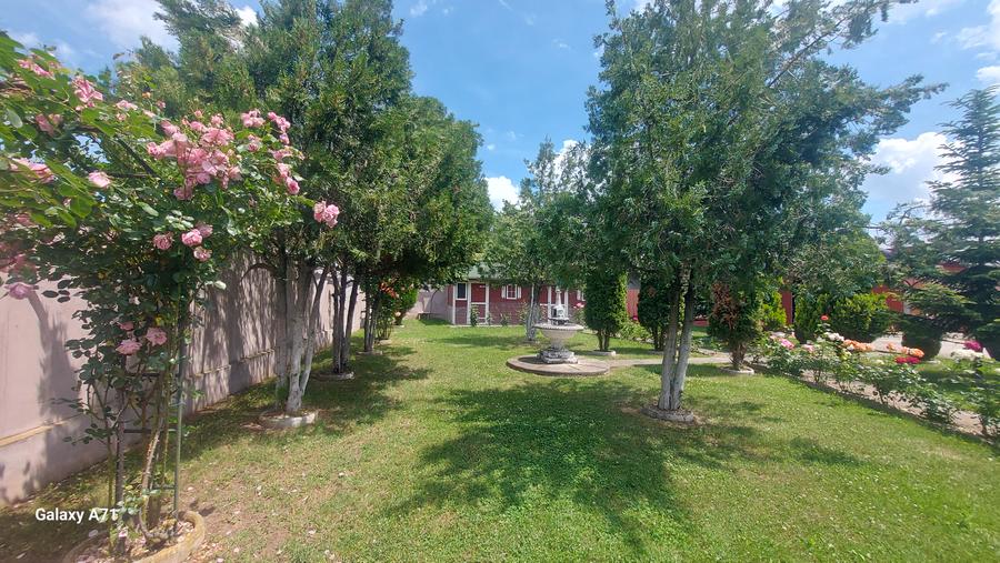Snagov- Gruiu- Santul Floresti -Proprietate cu stil pentru oameni gospodari!
