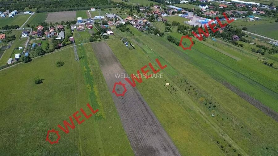 Teren extravilan de vânzare în Sfântu Gheorghe! - 4