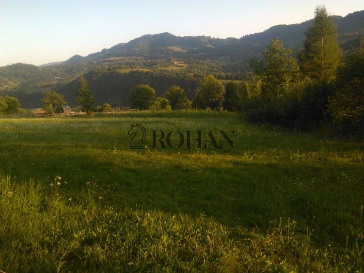 Teren intravilan 5360mp Bistrita Nasaud | Tiha Bârgăului