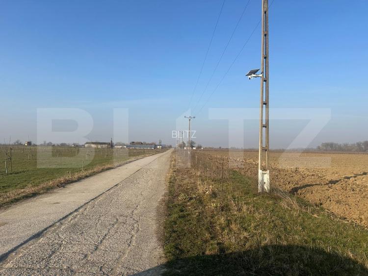 Ferma de nuci - teren agricol, zona Ivesti