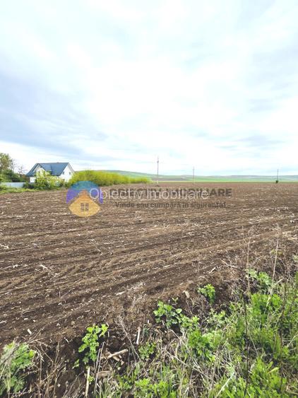 TEREN intravilan 4500 mp  PIATRA NEAMT  strada Izvoare - 3