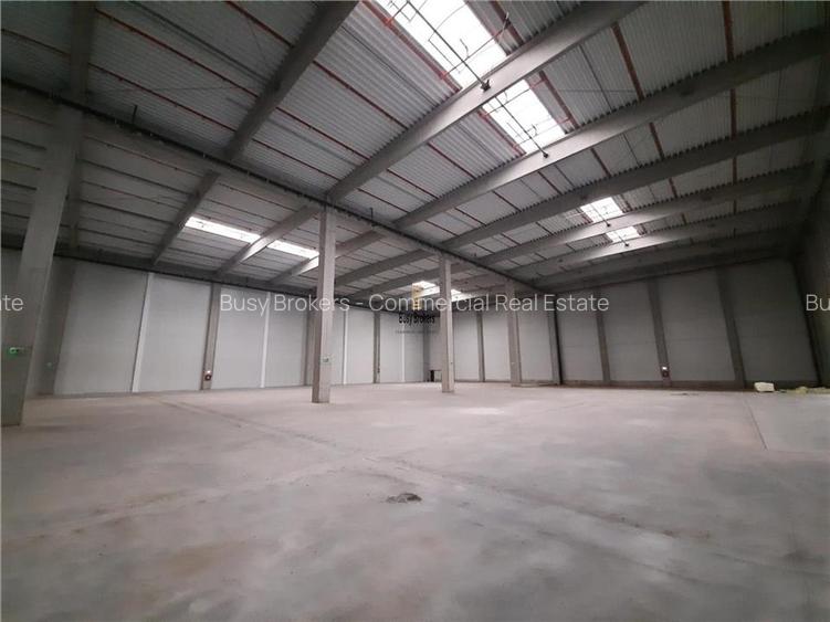 Spatiu Industrial - 3000 mp - Logistica - Productie - Depozitare - Distributie - 5