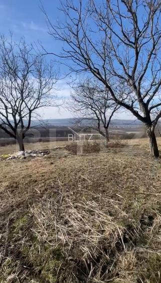 Livadă de nuci – 2 ha | Acces DN17 | Investiție profitabilă - Cristur - 6