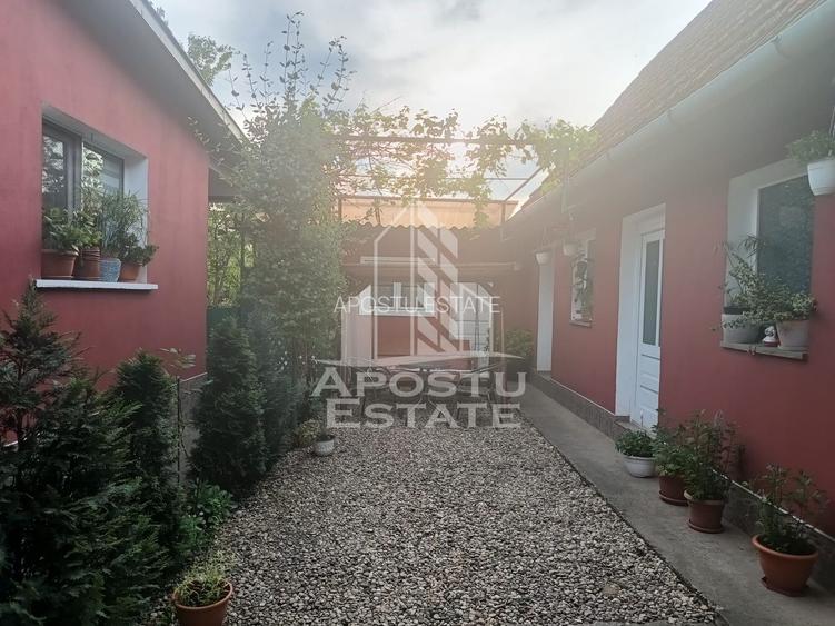 Casa individuala la sat, 5 camere, in Voiteg, judetul Timis - 19