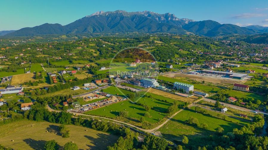 Teren intravilan 7.660 mp lângă Bran, panoramă 360°, comision 0%
