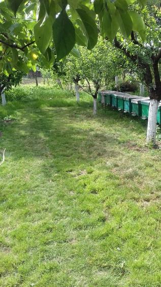 Vand casa cu îmbunătățiri energetice