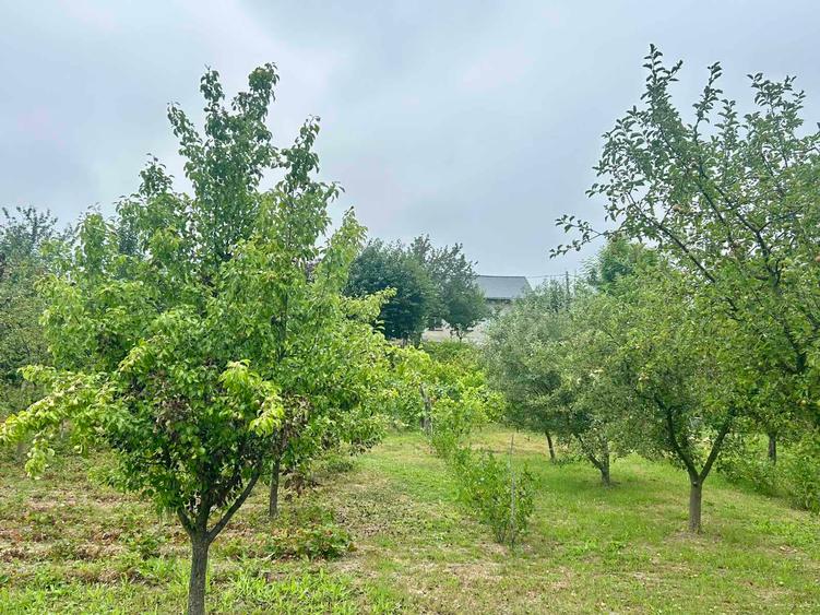 Casă P+M Chicerea Tomesti cu 2.200 mp teren, 30 ml la asfalt, livadă matură și mansardă