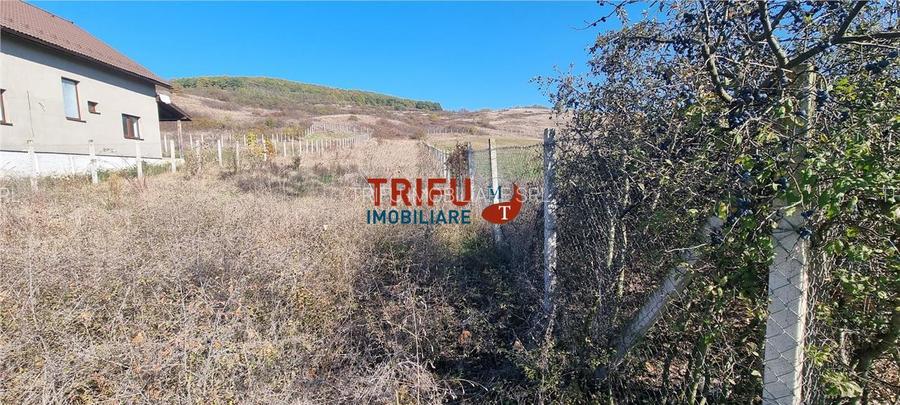 Teren 1600 mp de vanzare in comuna Ciugud cu toate utilitatile - 2