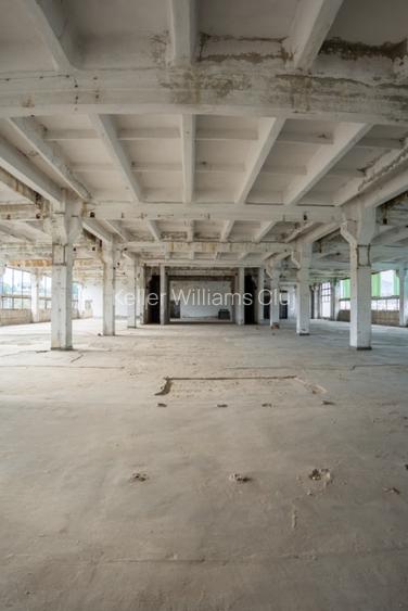 Clădire industrială cu potențial mixt – producție, depozitare, servicii –Toplița - 15