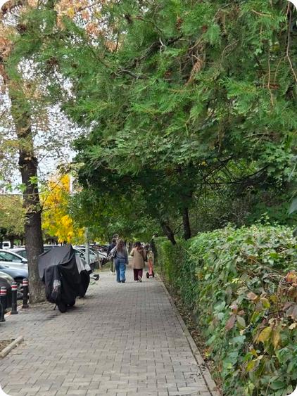 Garsonieră 31 mp, COMPLET RENOVATĂ, finisaje premium, vedere panoramică