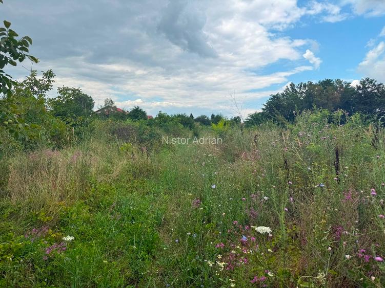 Buftea ultracentral  toate utilitatile la teren   - 7