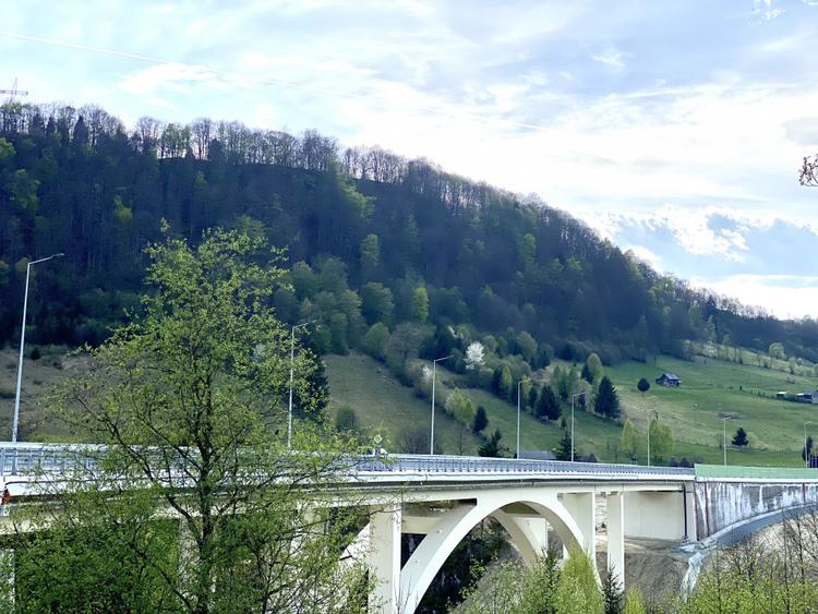 Teren panoramic însorit, utilități, panta mica si pădure, turism sau vacanță