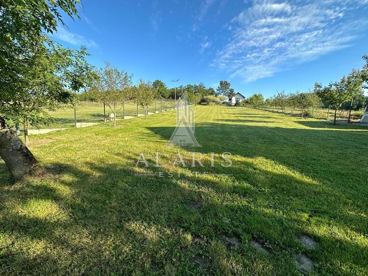 Domeniu privat, cu padure, cabana si teren de tenis, in Nadas