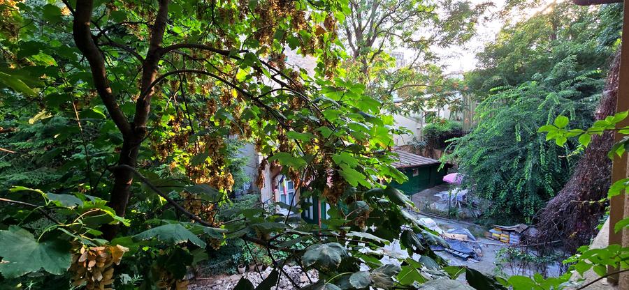 Apartament 2 camere | Pitar Mos | Stil interbelic | Centrala proprie