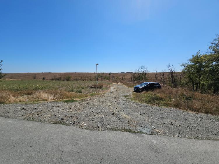 Teren Extravilan 10000 Mp Sibioara Constanta