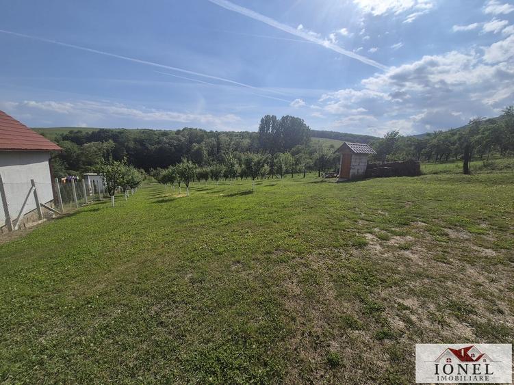 Teren intravilan (2292mp) de vanzare in Vintu de Jos