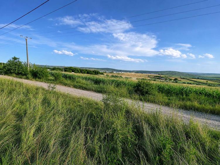 Teren pentru Hală 1000 mp zona Metro lângă Zeelandia, 20,30 m deschidere, Aproape E85, Ideal Investiție Industrială