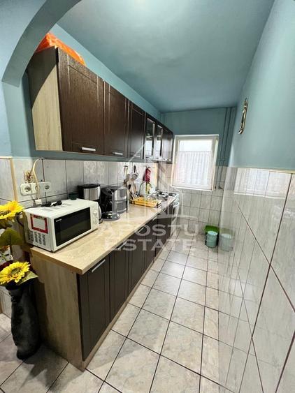 Apartament cu 3 camere, de vanzare, zona Dambovita, Timisoara
