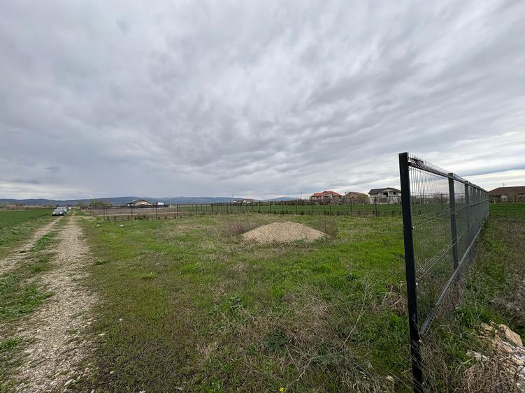Teren de vânzare în Golești – 3 loturi a câte 530 mp