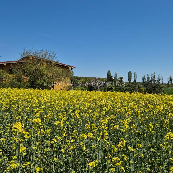 Ciolpani, spre Izvorani - COR, vanzare teren 5000mp. - 16