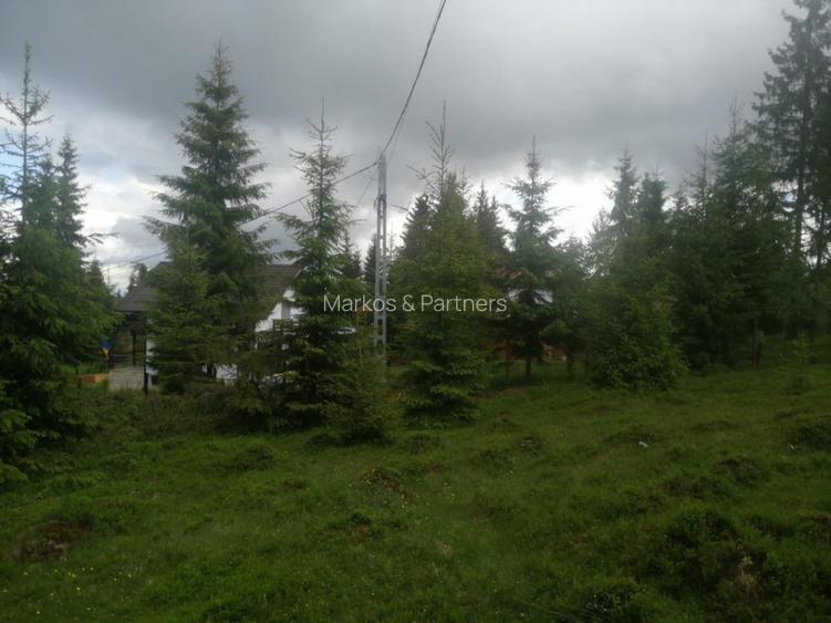 Teren de vanzare Belis1300mp Strada principala Intravilan - 4