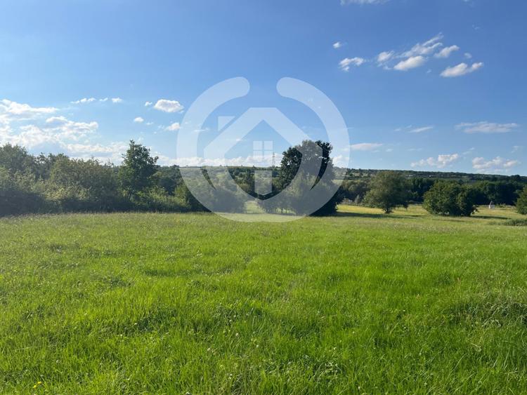 Teren intravilan constructii 6668 mp - Rasinari, Sibiu