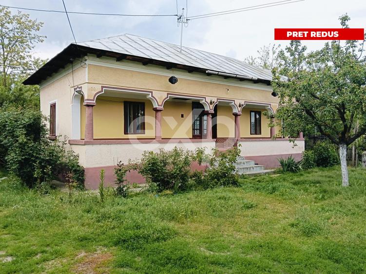 Casă tradițională cu 2029 MP, livadă, puț propriu