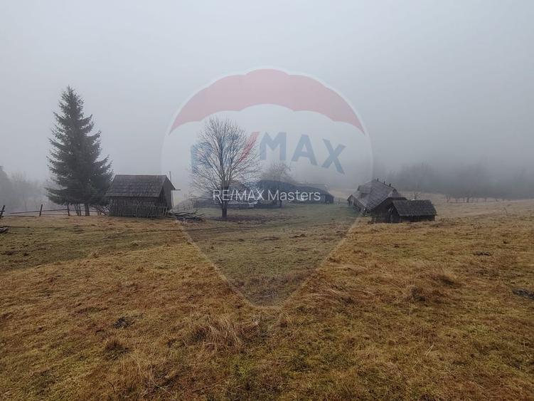 Teren INTRAVILAN 23.238m.p. Dorna-Arini / Cozănești - 7