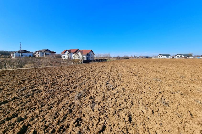 Teren intravilan 13175mp utilitati Ciolpani Strada Alunisului - Padurea Snagov