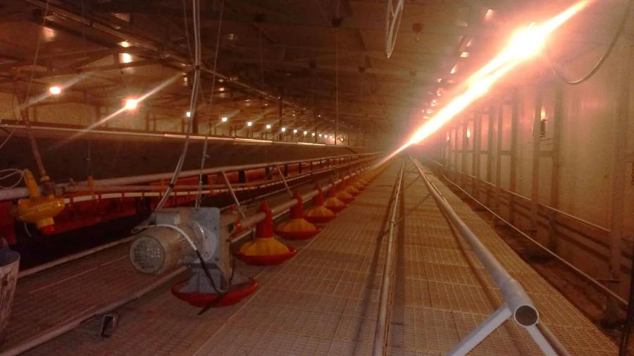 Ferma de gaini ouatoare in sistem free-range | 45.000 mp teren