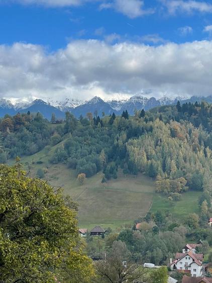 Teren extravilan cu priveliste catre Bucegi – Moieciu de Jos 4.700 mp