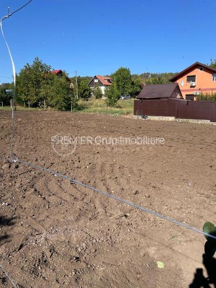 Teren intravilan 451mp cu utilitati, Tomesti - Chicerea - 9