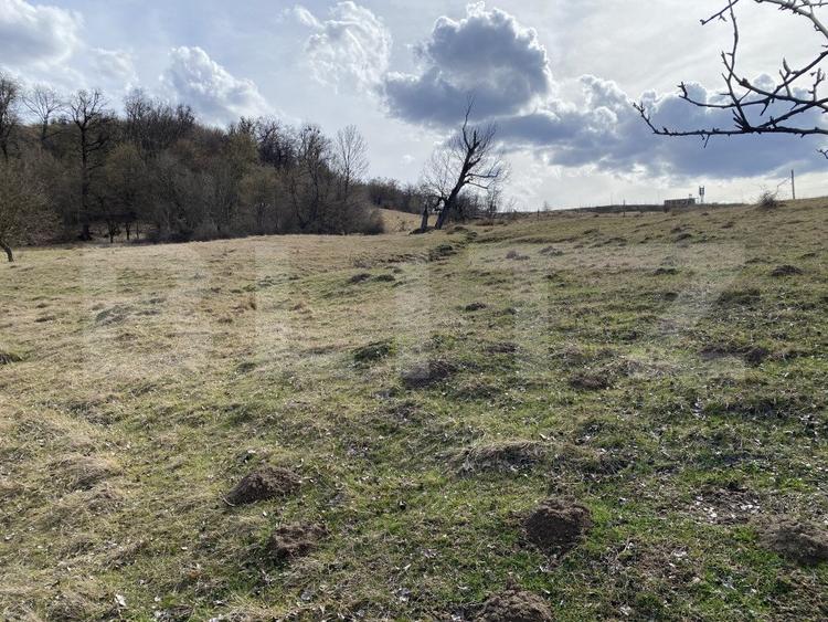 Teren extravilan in suprafata de 7500 mp la poalele Mesesului