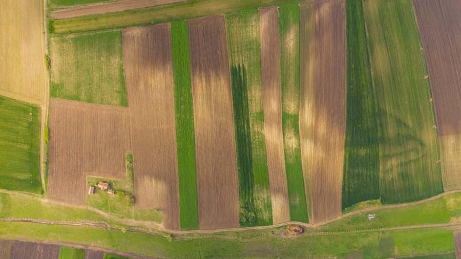 Vând bucată de teren agricol extravilan de 2,51 hectare la Diniaș în zona livezi