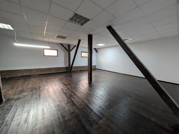 Spatii comerciale și de birou, zona Arena Mall