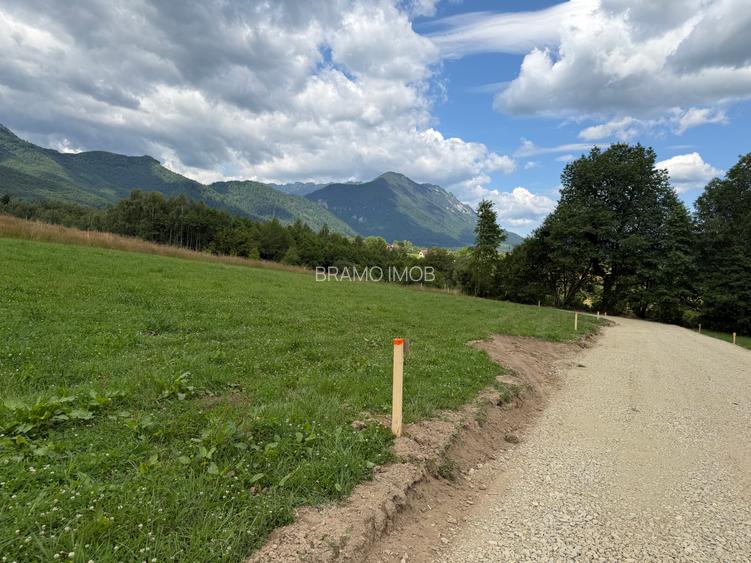 Teren intravilan  1000 mp zona Bran-Tohanita,langa padurela 10 km de Rasnov - 12