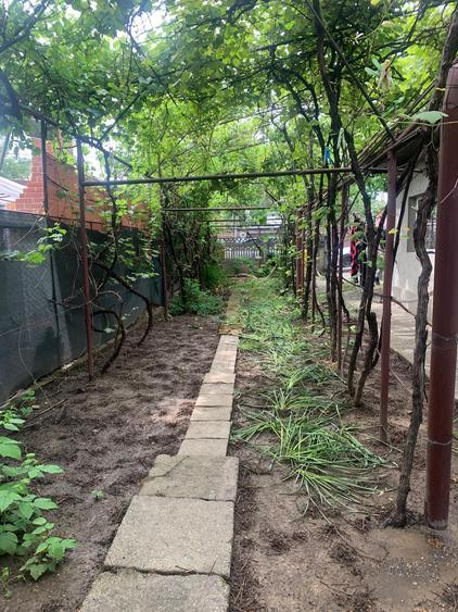 Voluntari Vanzare Casa 113 000eur