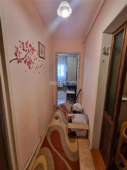 Apartament 2 camere Alexandru cel Bun - 5