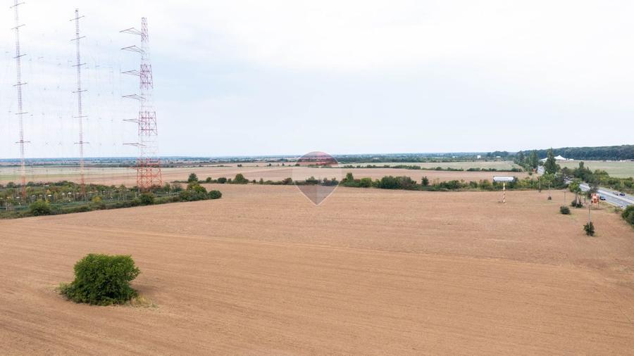 Teren intravilan 10.000mp Ciolpani, acces direct din DN1